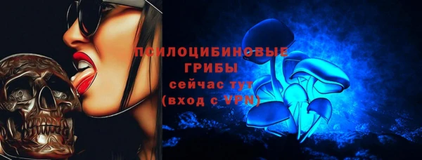 mix Богородицк